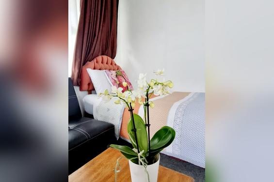 Two-Bedroom Family Apartment